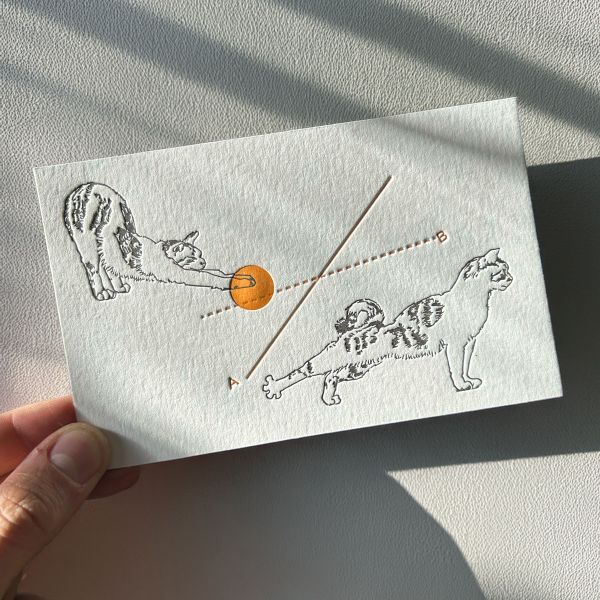 Postal Tipográfica Con Gatos